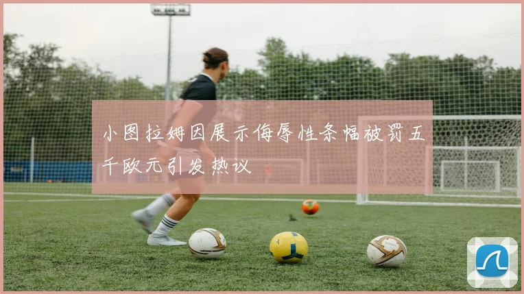 小图拉姆因展示侮辱性条幅被罚五千欧元引发热议