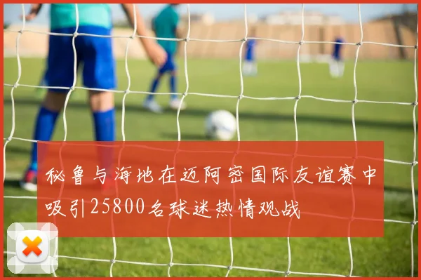 秘鲁与海地在迈阿密国际友谊赛中吸引25800名球迷热情观战